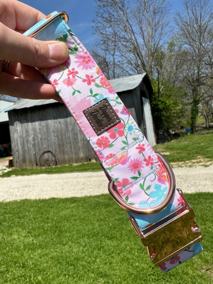 Summery Pink Dog Collar
