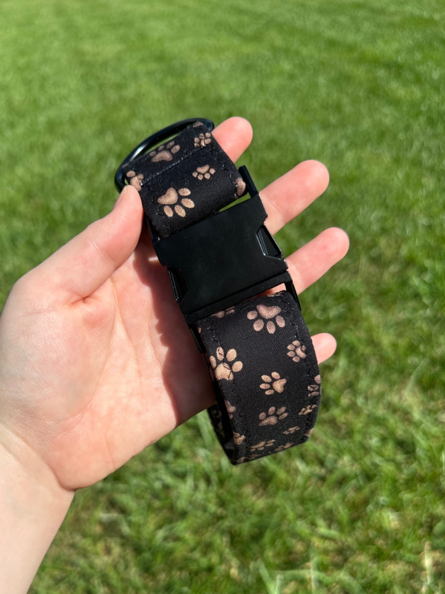 Jasper Paw Dog Collar