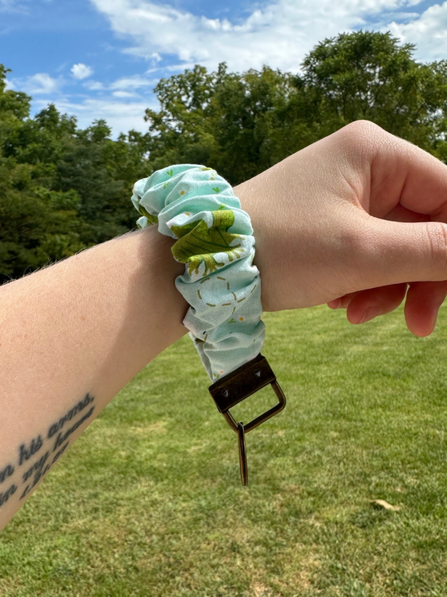 Frog Scrunchie Key Chain
