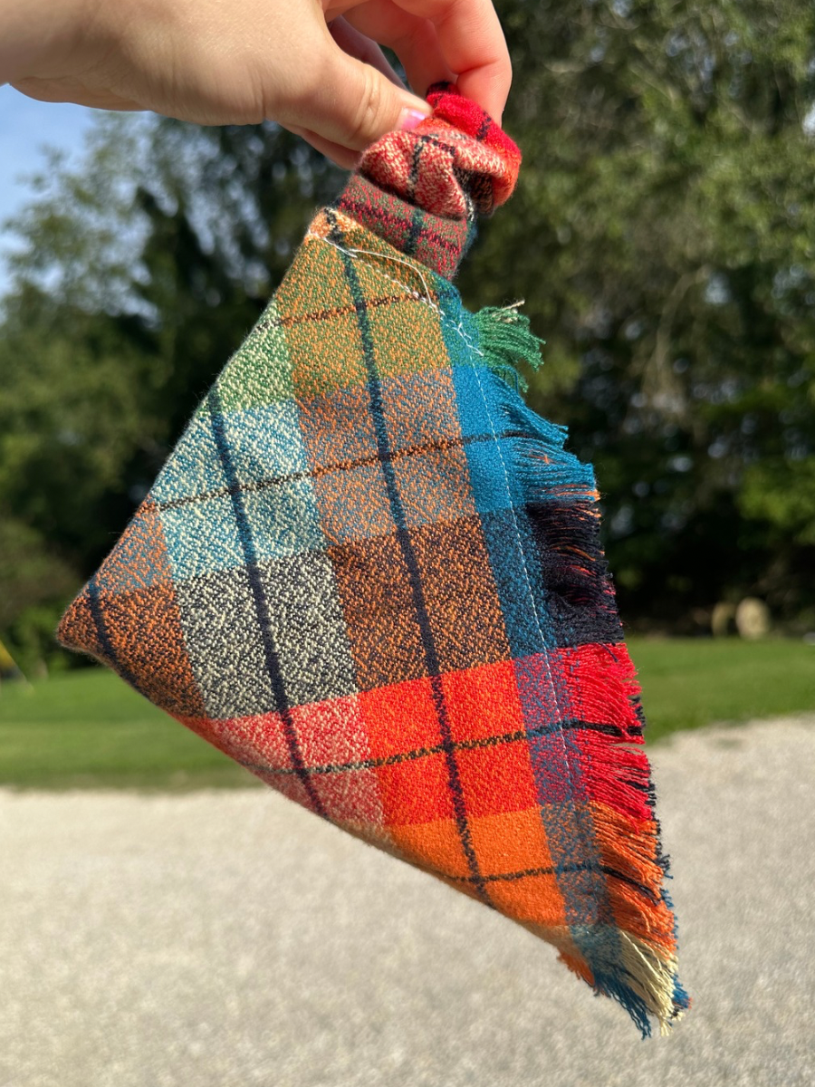 Sunset Fringe Scrunchie Dog Scarf