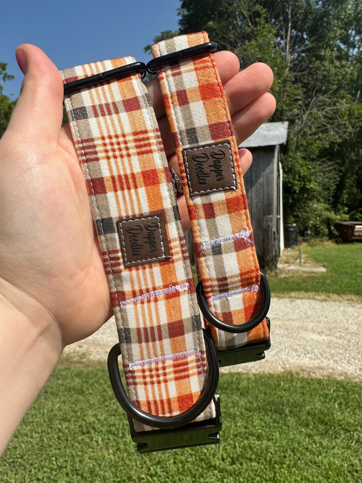Fall is in the Air Dog Collar