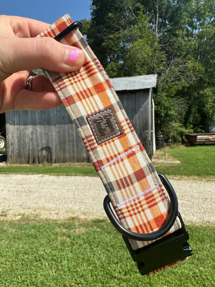 Fall is in the Air Dog Collar