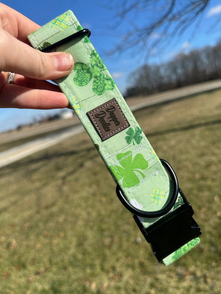 Shamrock Dog Collar