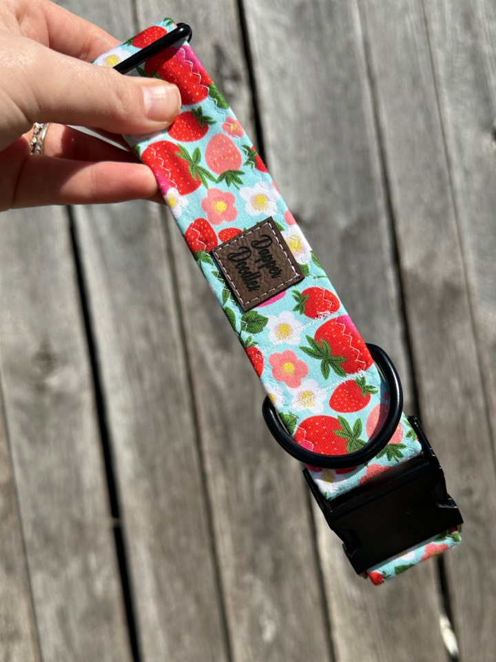 Summer Strawberry Dog Collar
