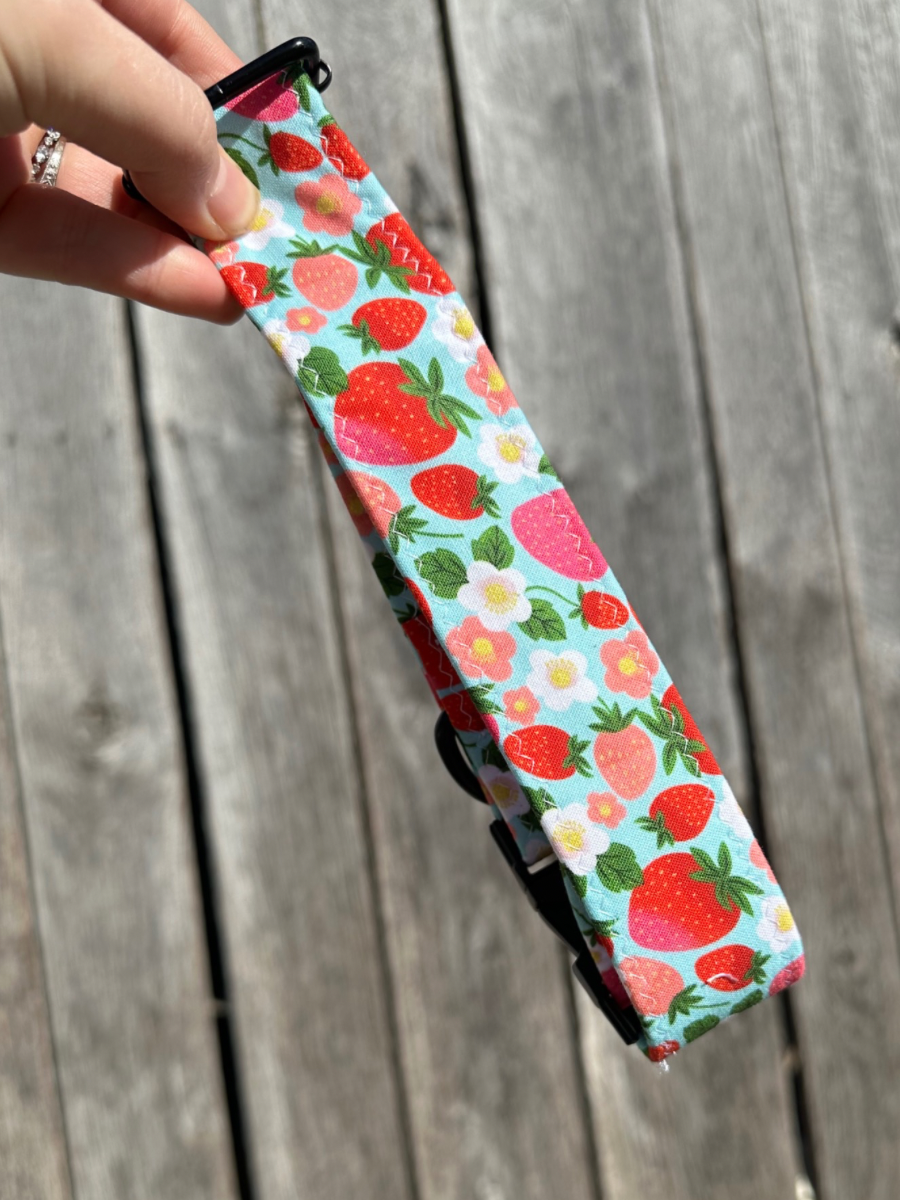 Summer Strawberry Dog Collar