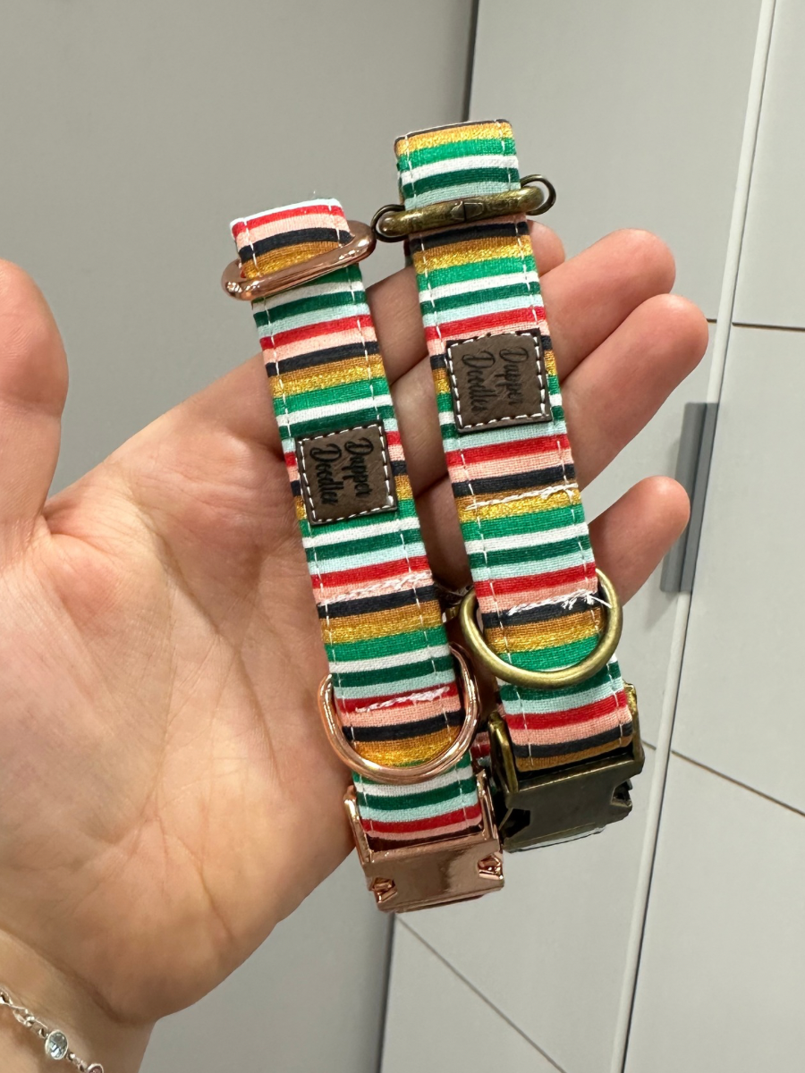Gold Stripe Dog Collar
