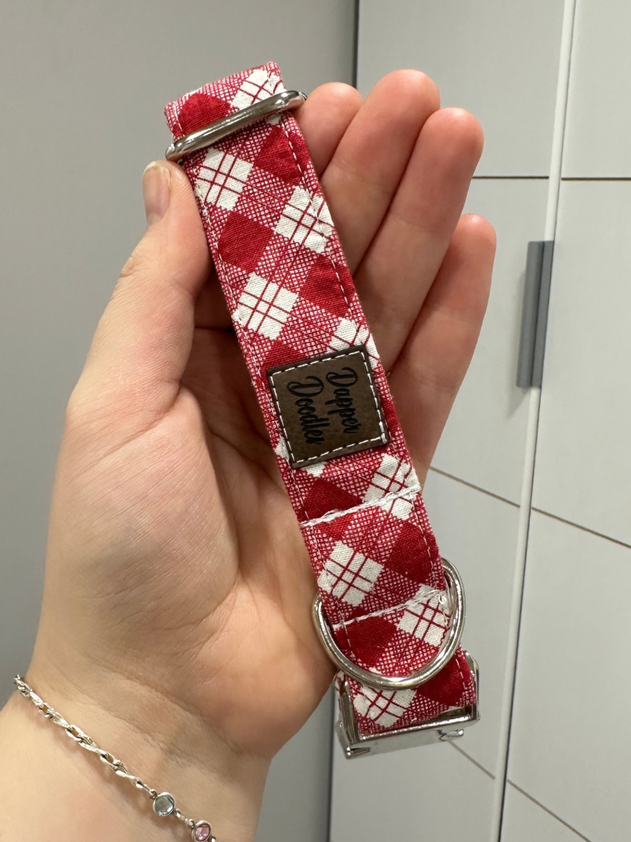 Red Apple Plaid Dog Collar