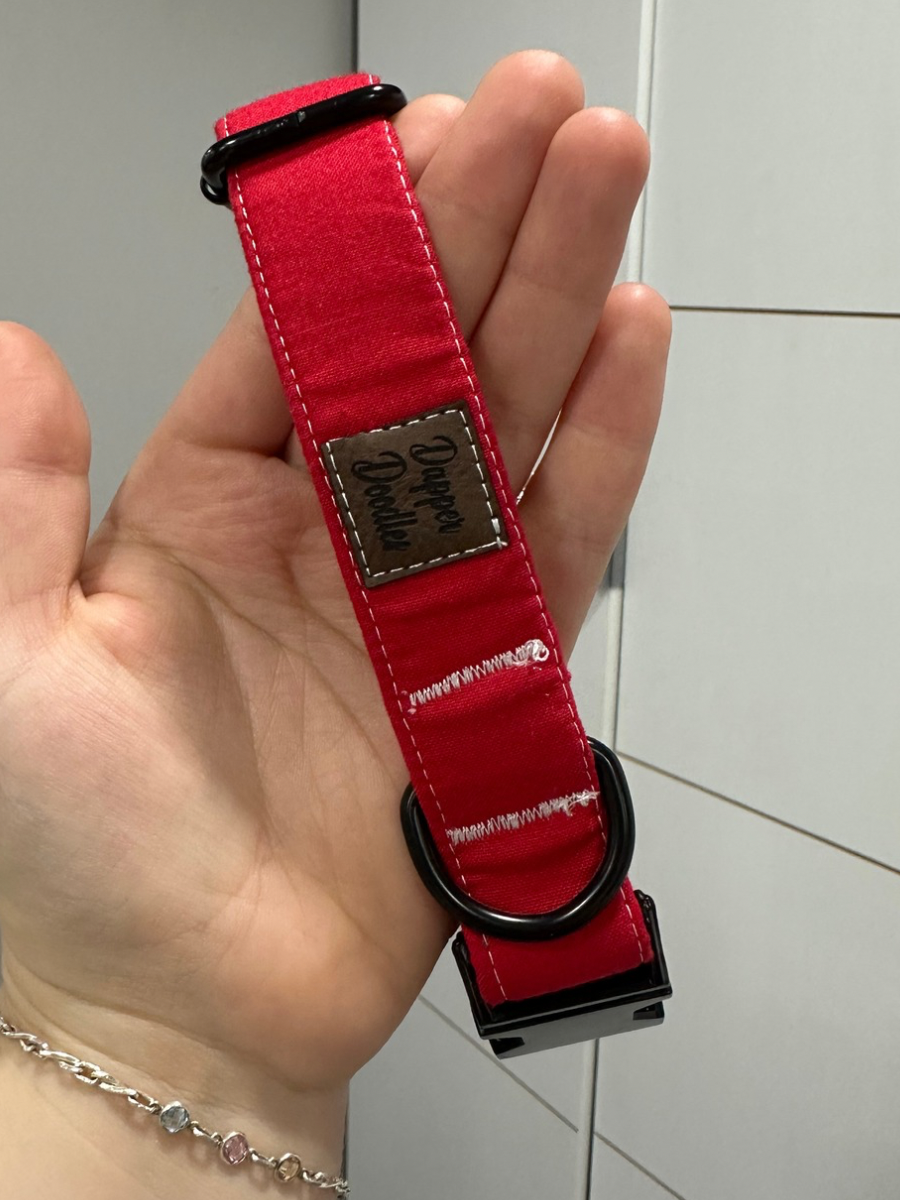 Solid Red Dog Collar