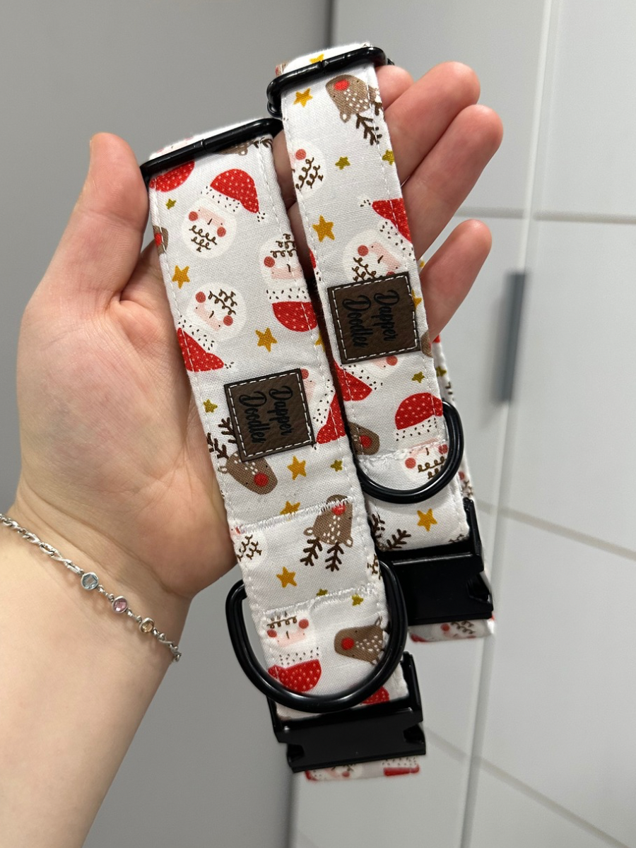 Santa & Rudolph Dog Collar