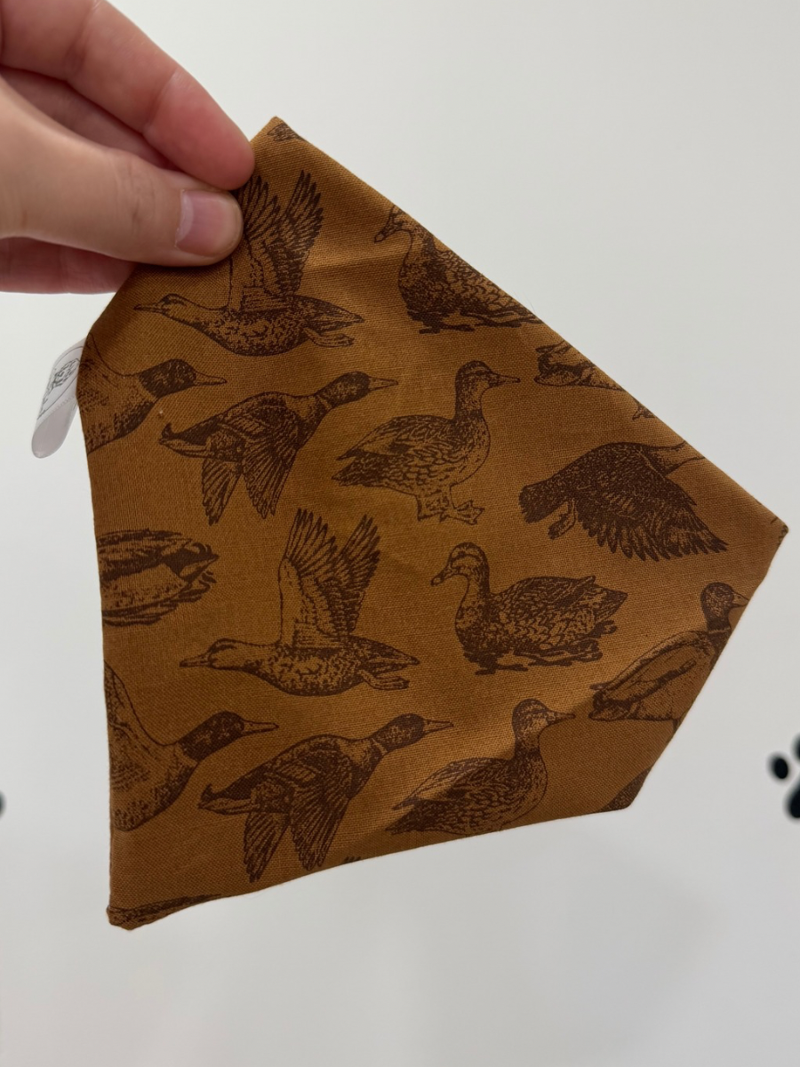 Ducks Scrunchie Bandana