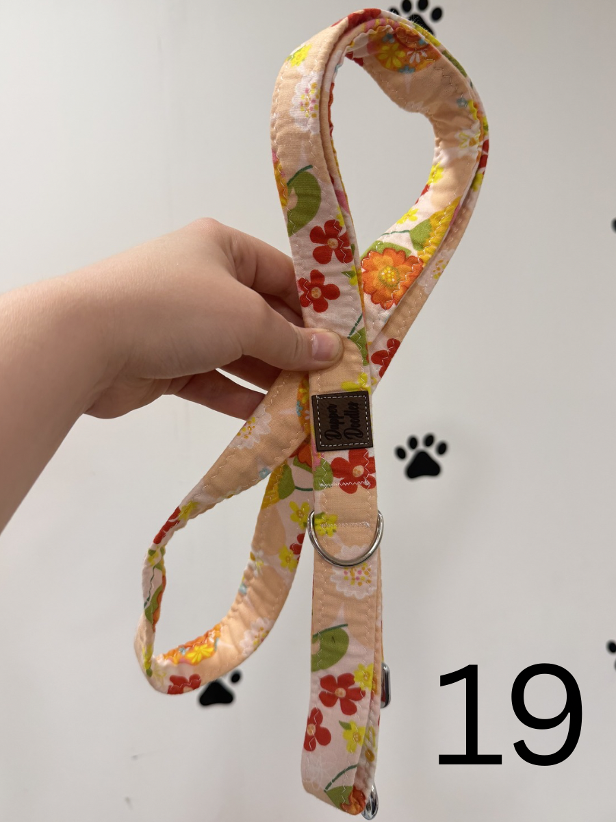 $12 leashes