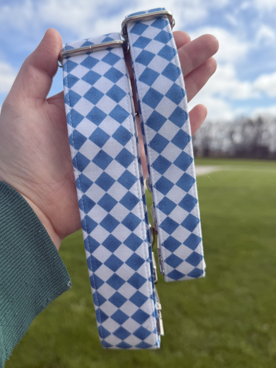 Blueberry Picnic Dog Collar