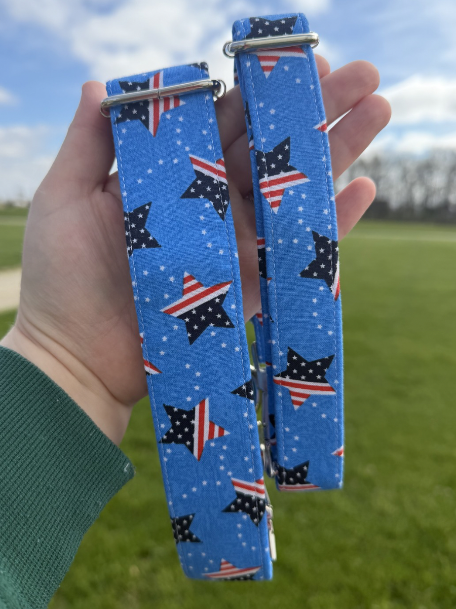 Stars & Sky Dog Collar