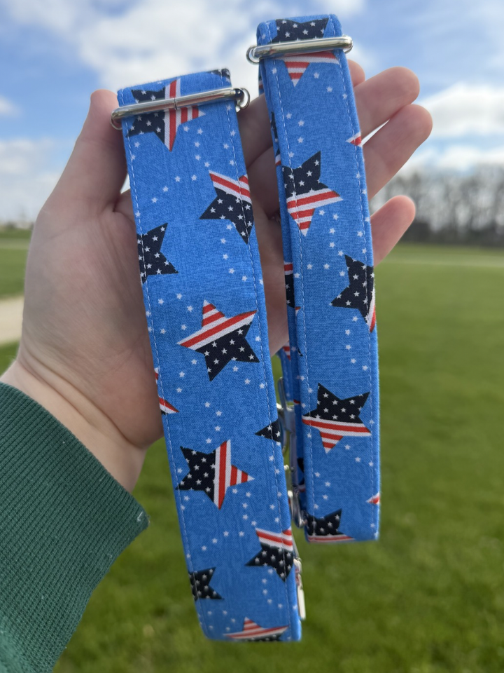 Stars & Sky Dog Collar