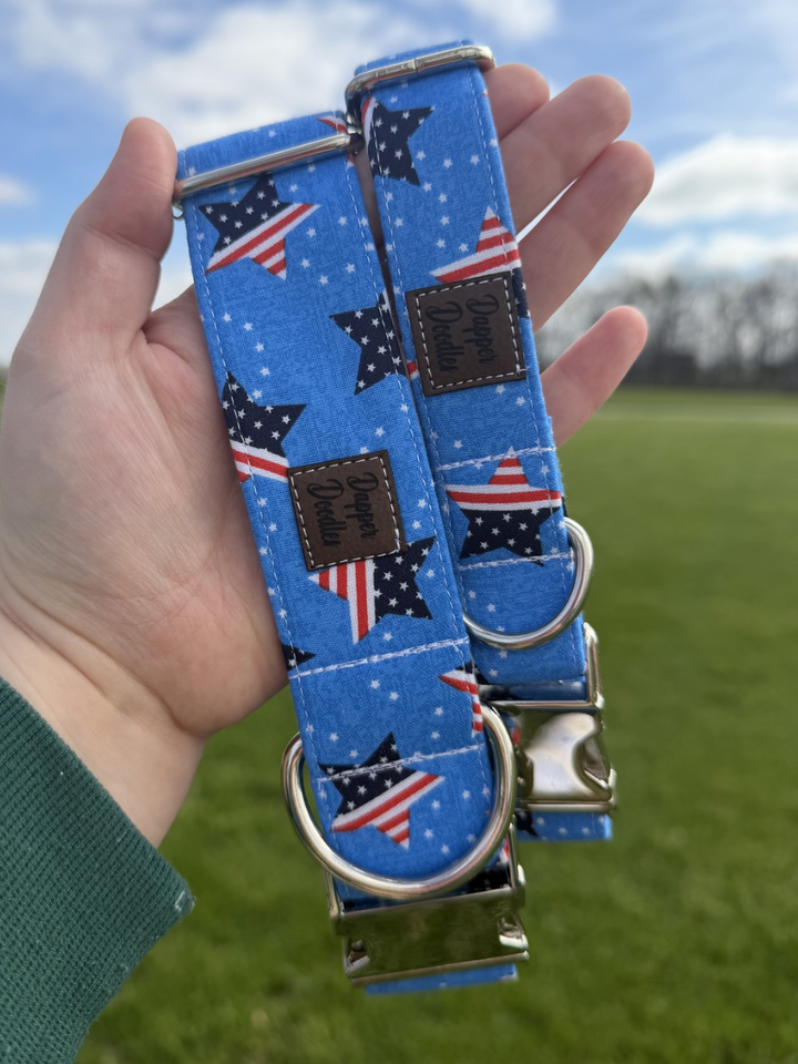 Stars & Sky Dog Collar