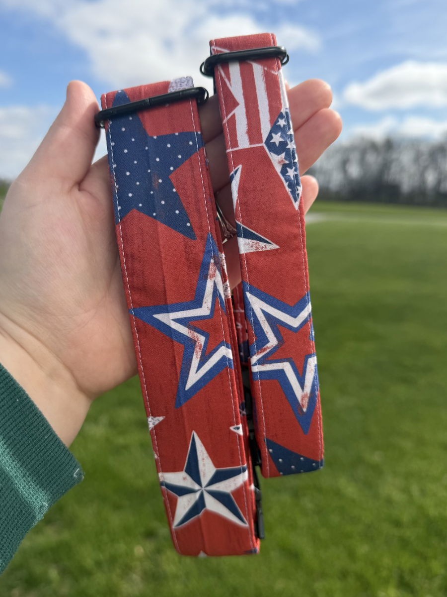 Liberty Starburst Dog Collar
