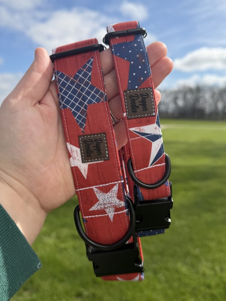 Liberty Starburst Dog Collar