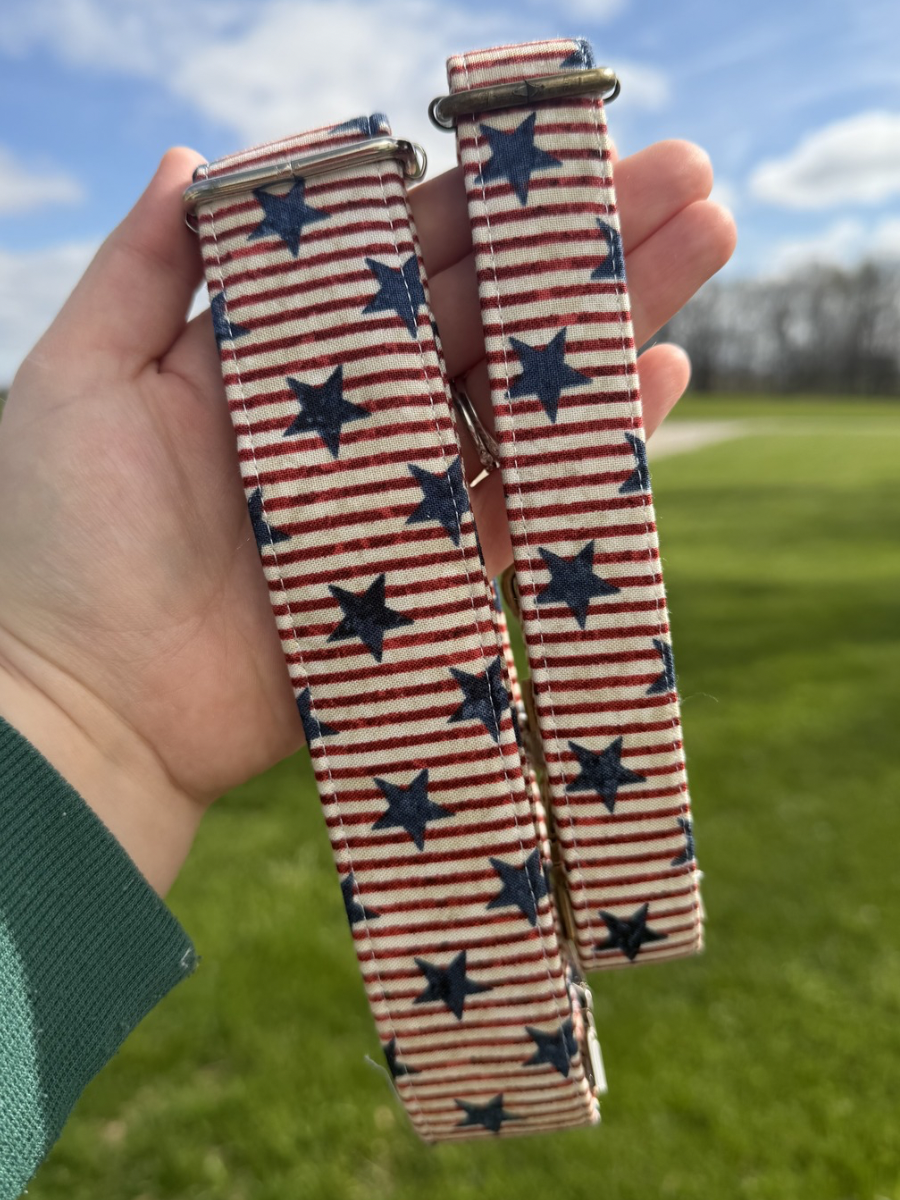 All-American Stripe Dog Collar