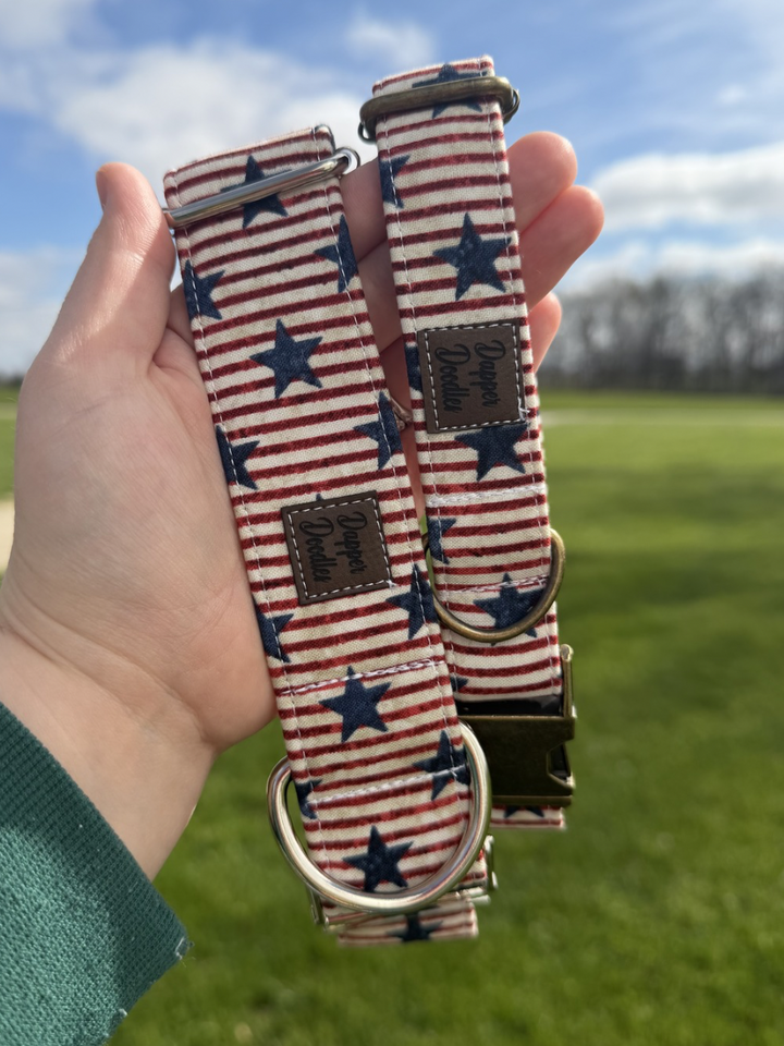 All-American Stripe Dog Collar