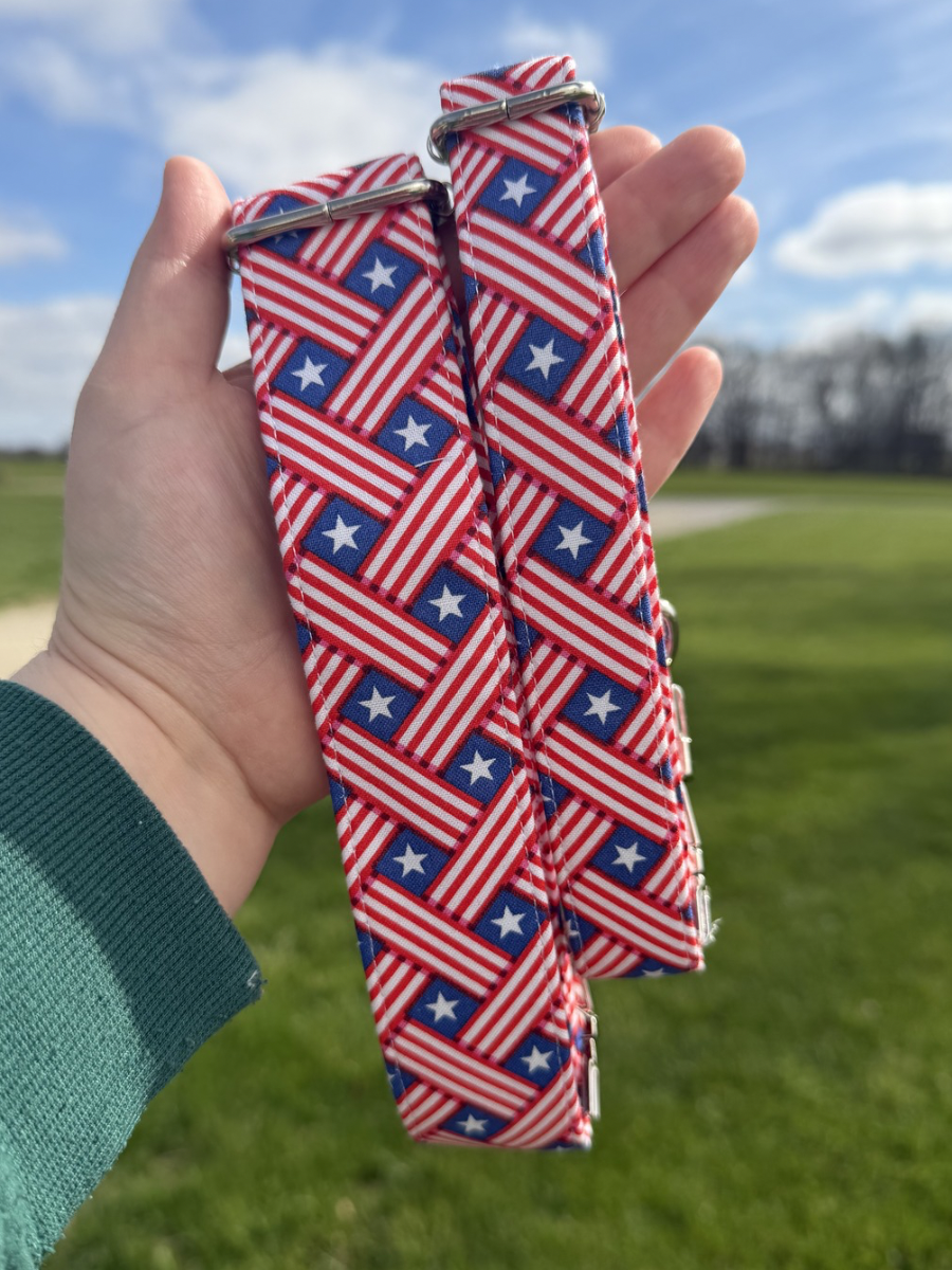 Firecracker Lane Dog Collar