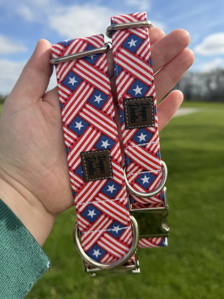 Firecracker Lane Dog Collar