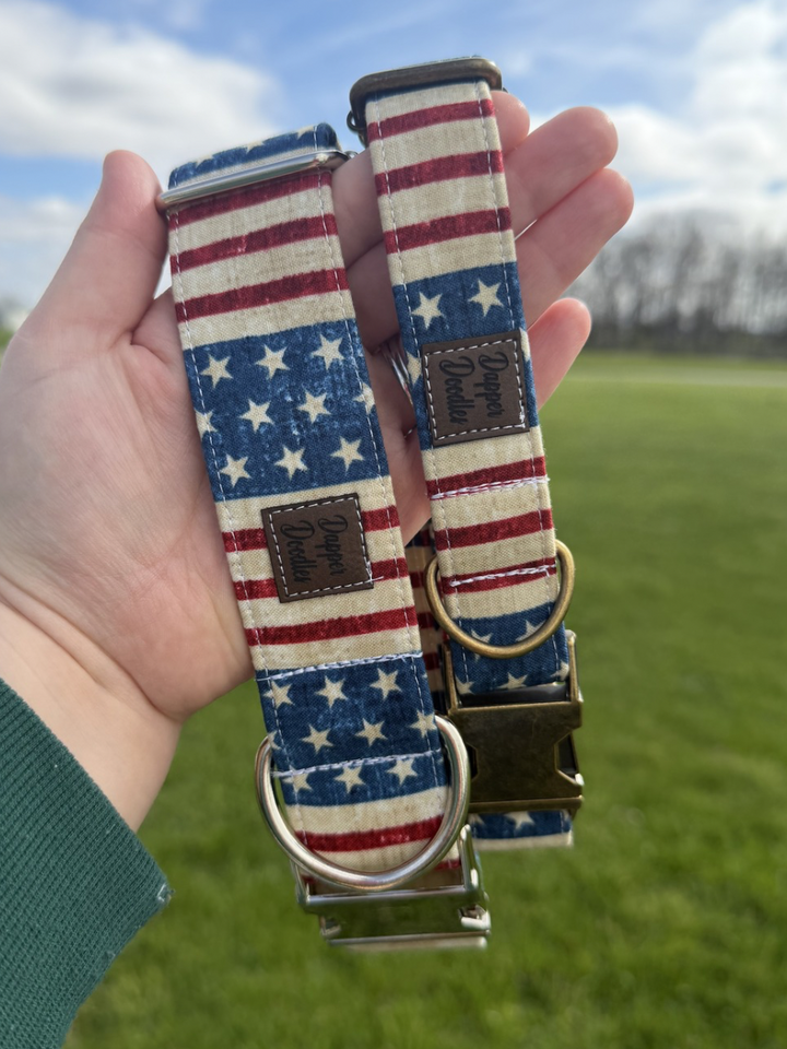 Vintage Freedom Dog Collar