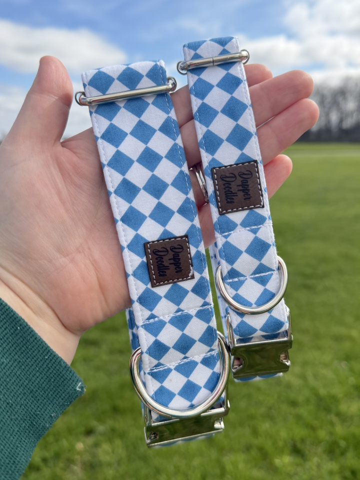 Blueberry Picnic Dog Collar