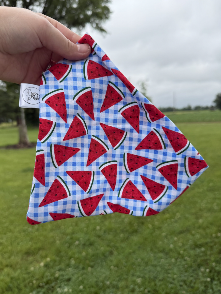 Melon Picnic Scrunchie Bandana
