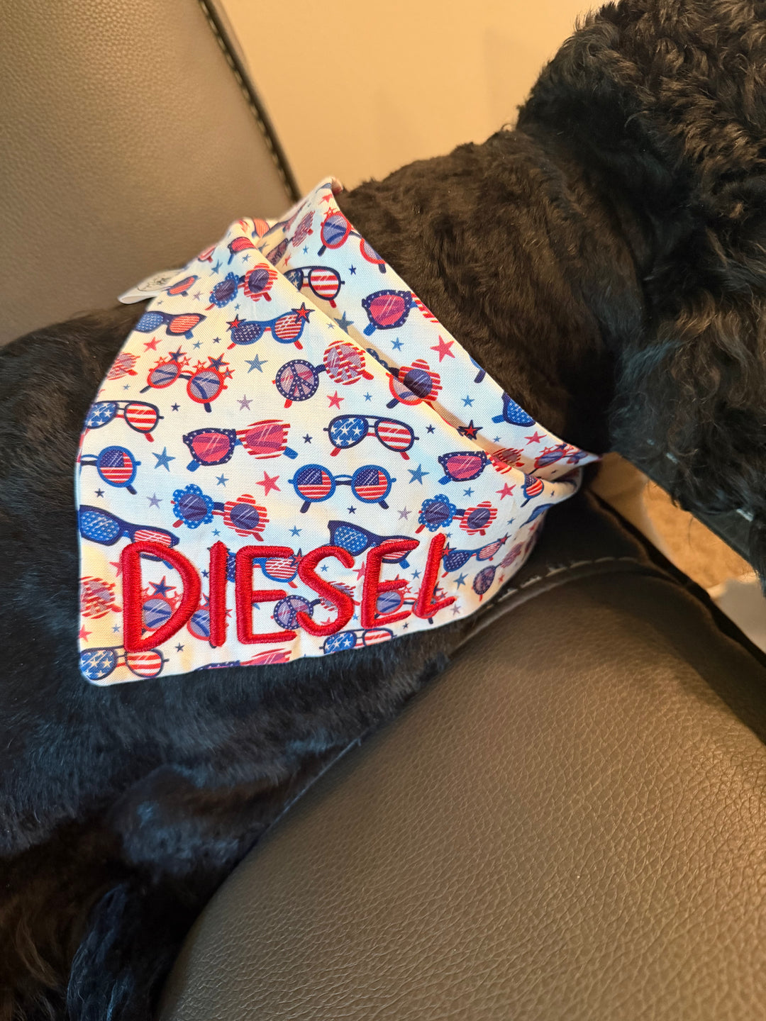 Sunnies Scrunchie Bandana