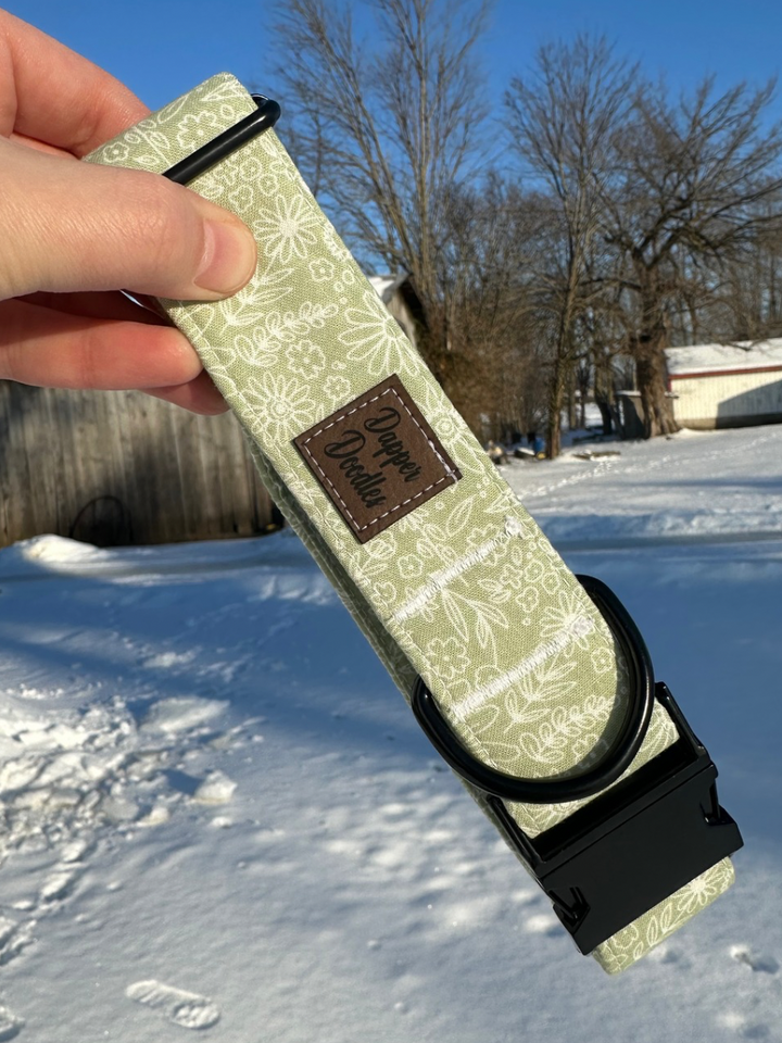 Spring Green Dog Collar