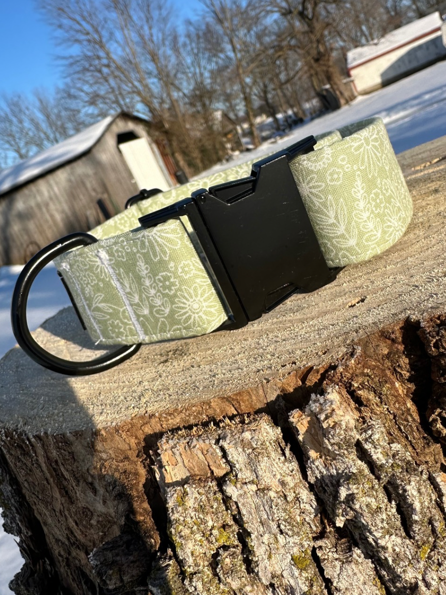 Spring Green Dog Collar