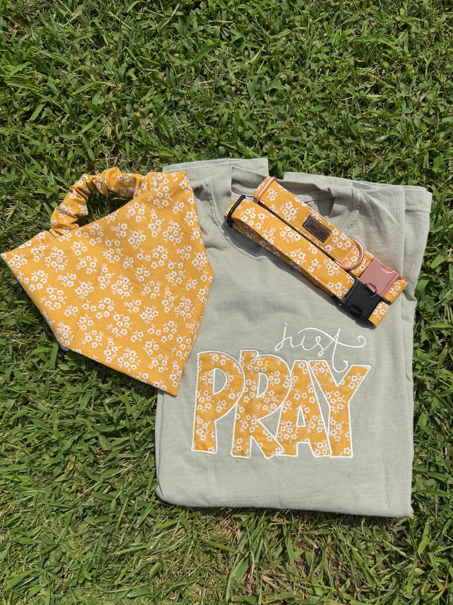 PREORDER: Just Pray