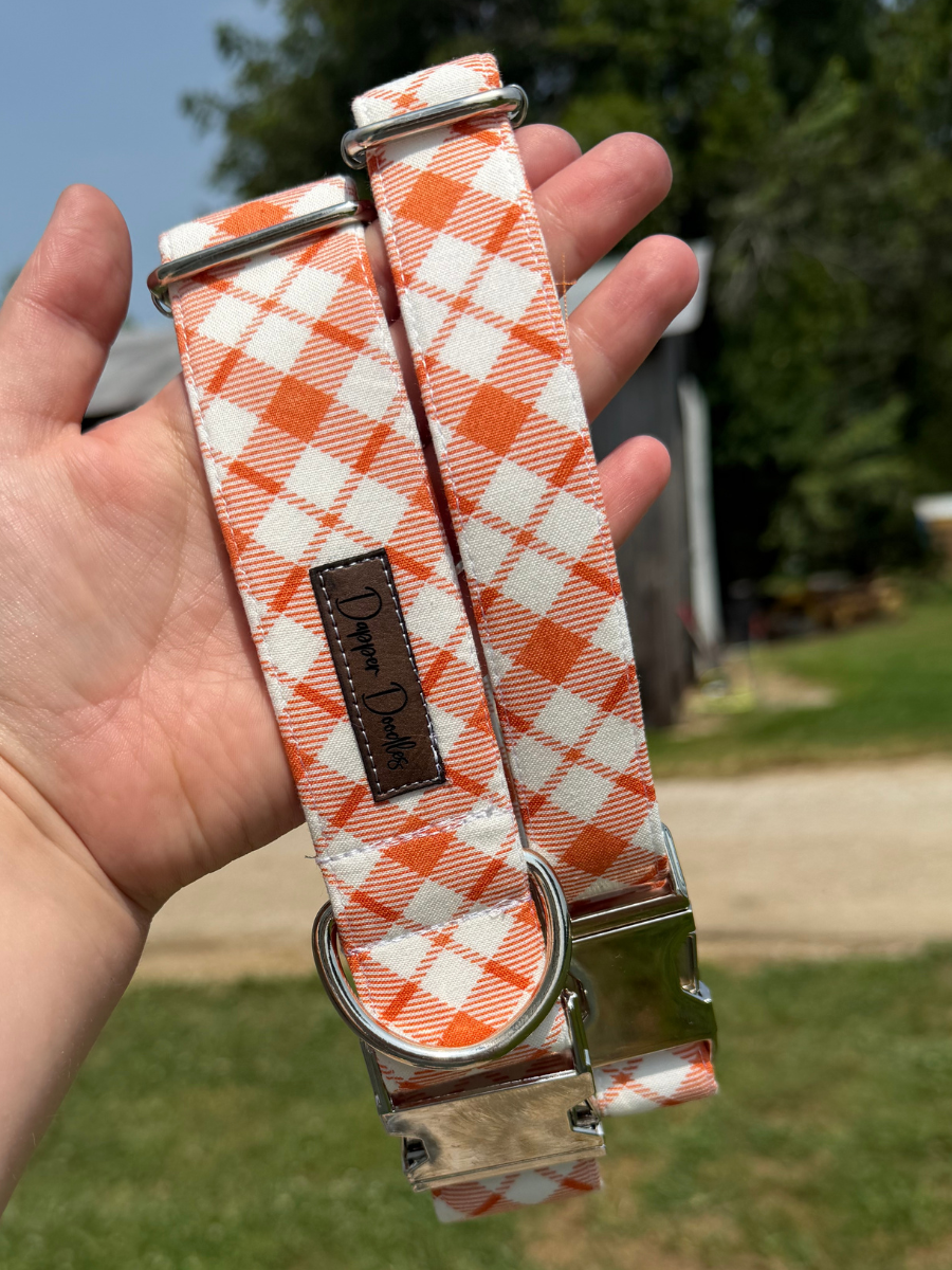 Autumn Creamsickle Dog Collar