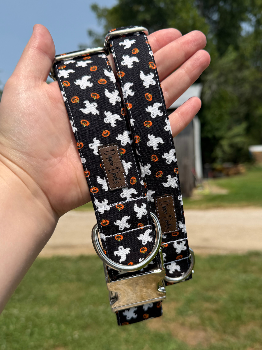 Pumpkin Ghost Dog Collar